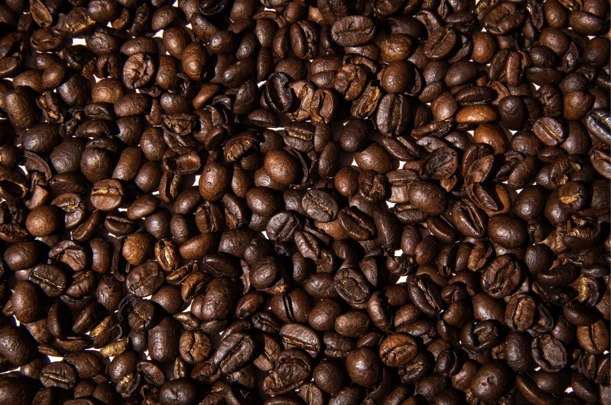 Coffee Basics: Vietnamese Robusta Coffee Beans | Omni